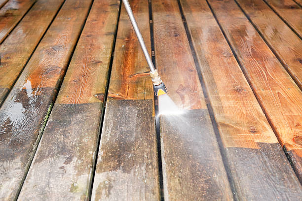 Best Solar Panel Cleaning  in Bridge City, LA